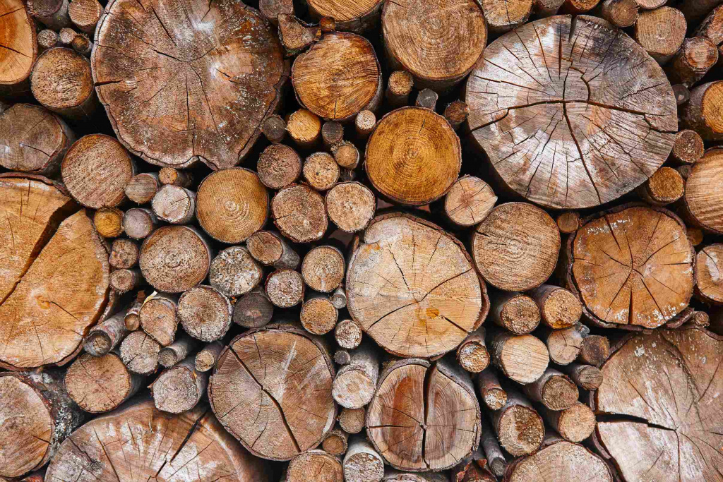 stacked-tree-trunks-detail-finland-lumber-industr-2023-11-27-05-16-06-utc_11zon.jpg